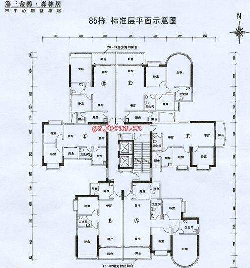 第三金碧花园85栋标准层平面_第三金碧花园户型图
