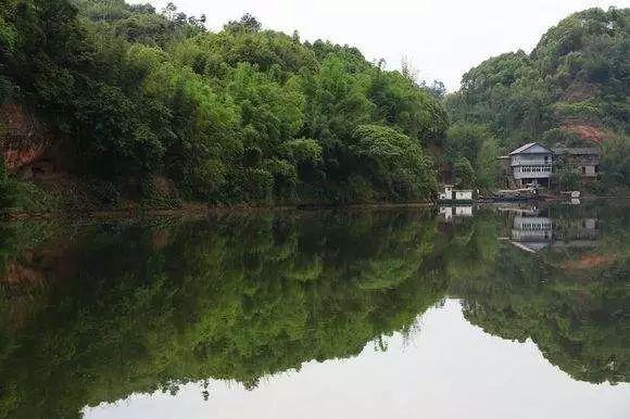 宜宾这两个镇被省上点名了!未来经济要腾飞!