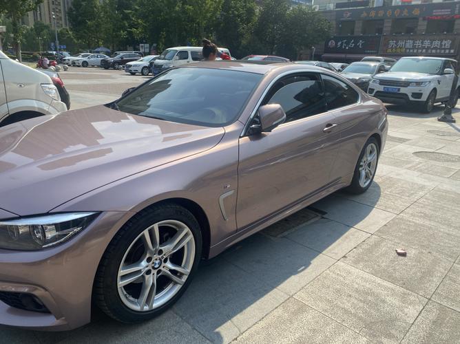 冰梅粉_藏书羊肉馆_汽车_汽车装饰