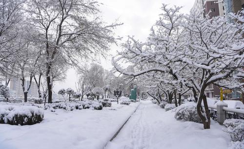 2020冰河公园雪景