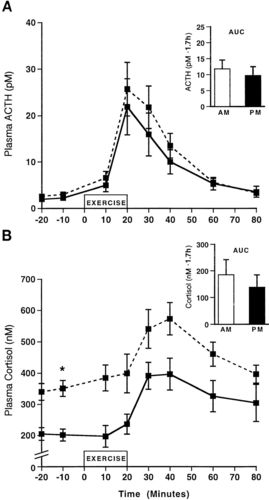 to exercise across time of day and menstrual cycle phase