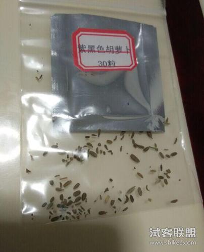 胡萝卜种子