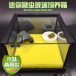 爬宠饲养箱子玻璃爬虫异宠造景缸reptizoo生态雨林微景观小型桌面