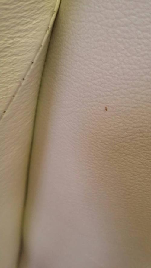   按默认排序|5条回答  6 分钟前   热心网友  床虱.