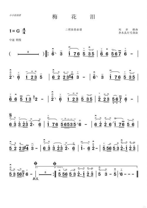 梅花泪二胡简谱(梅花泪二胡独奏曲谱)