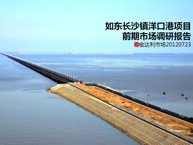 南通如东长沙镇洋口港之项目前期市场调研报告.pdf