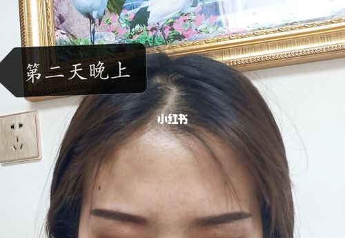 记录第一次纹眉掉痂过程_纹眉_上色_油性皮肤_眉毛_美