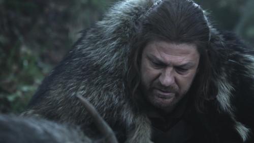 winteriscomingsohearmeroarlt冰与火之歌权力的游戏gt第一季系列剧评