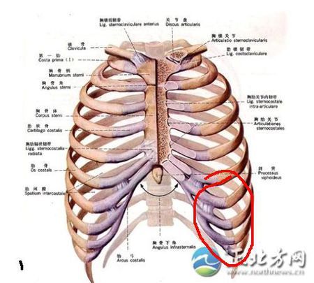 肋骨不对称可以练肌肉覆盖住么?