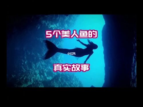 关于美人鱼的5个真实故事_故事_美人鱼_社科