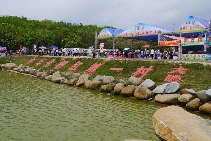 2018317v拍化州平定大岭村r摄橘红中华第一村