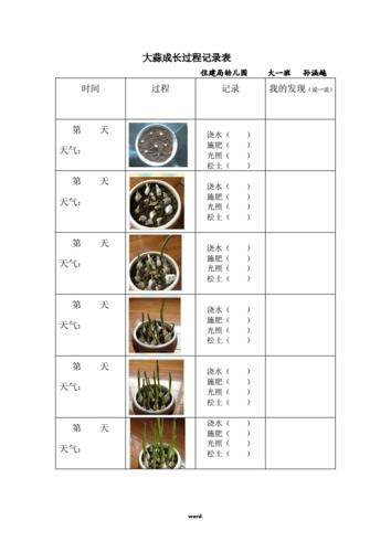 大蒜成长过程记录表#(优选.).doc 2页