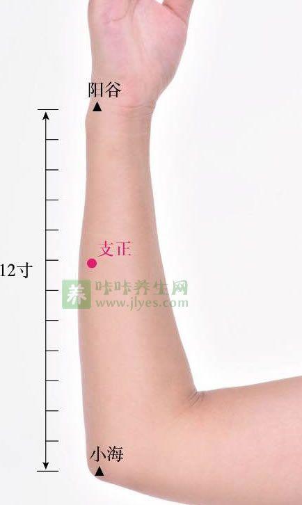 标准定位:支正穴在前臂背面尺侧,当阳谷与小海的连线上,腕背横纹上5