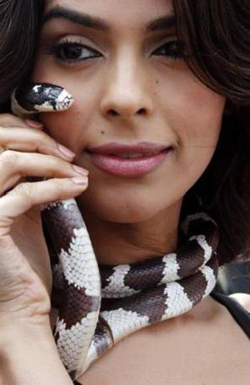 美女为何迷恋蛇?40女星与蛇缠绵写真就是答案