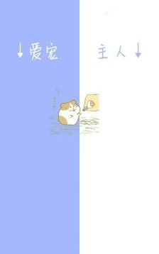 一半一半