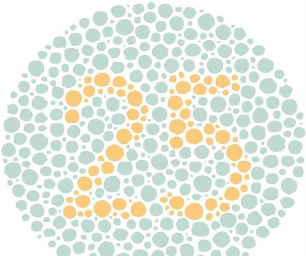 如果说是红绿色盲,从最开始就被卡掉了,这种先天性的没有办法治疗,这