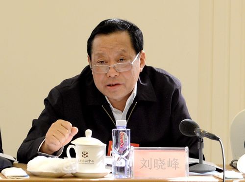 刘晓峰: 多措并举解决最后一公里的问题