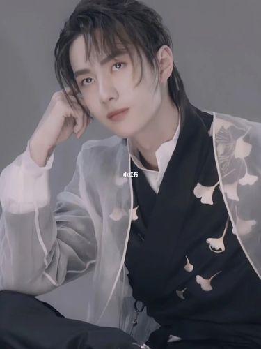 真的好好看,第一眼就惊艳的造型_王一博_娱乐_明星