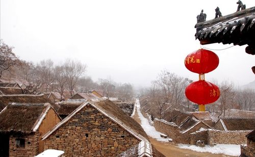 沂蒙山高坤的相册 - 山东沂蒙山马牧池