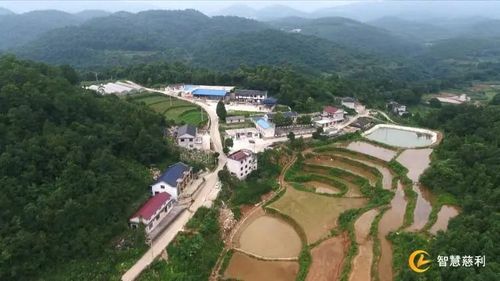 开对"药方",拔掉"穷根"|慈利县中医医院驻龙潭河镇金富村脱贫攻坚纪实