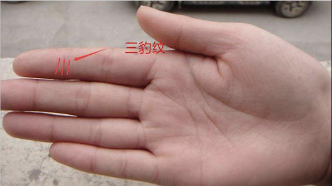 如果有三条指节纹,则称为食指三豹纹,这种人一生不缺钱,且财运往往是