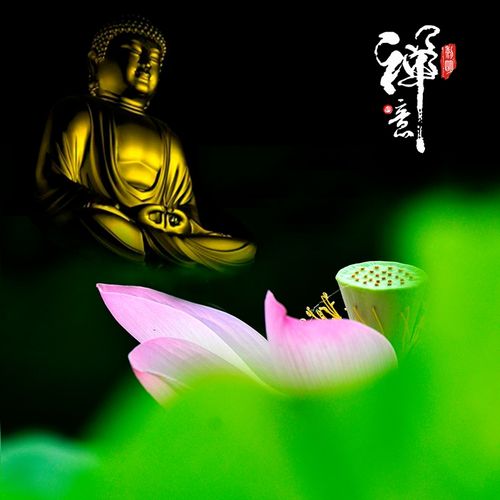 我若为莲花开见佛