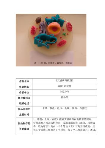 制作生物模型