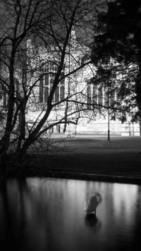 1080_1920 竖版 竖屏