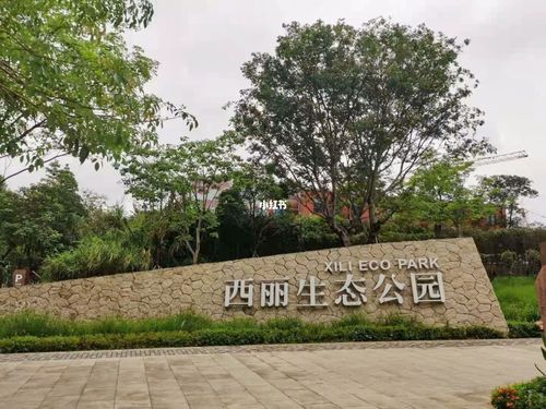 深圳西丽生态公园_旅行_木棉花_野餐_游玩_旅游_出行