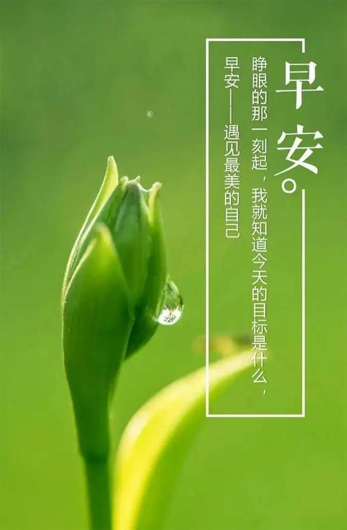「2021.05.30」早安心语,正能量语录,早上好励志图文问候语分享