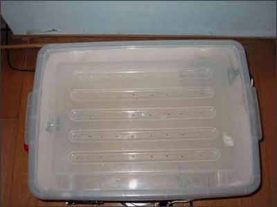 鸟主diy 自制鹦鹉保温箱(图)