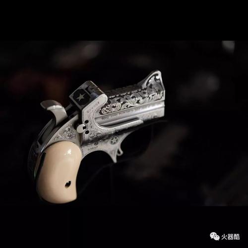 【往期精选】掌心雷 bondarms公司德州防御者系列手枪图集