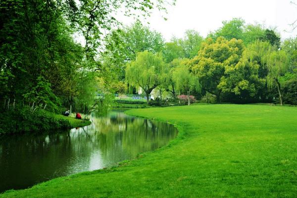 闻莺公园:春天里听鸟儿们歌唱