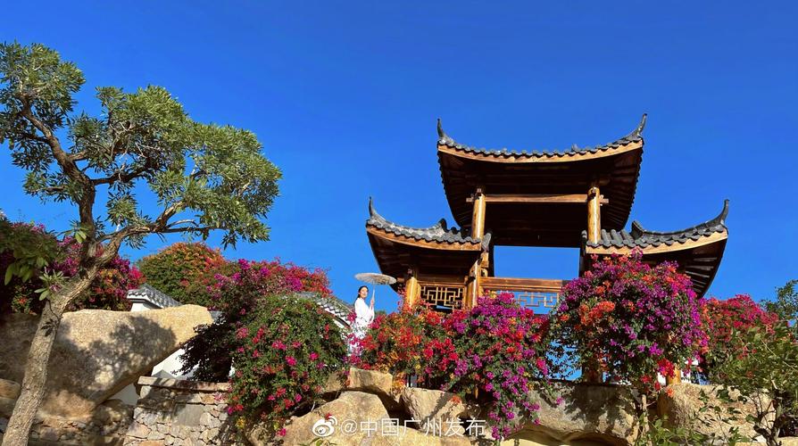 在广州花都区狮岭镇隐藏着一个世外花源马岭观花植物园