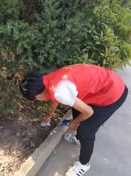 中心青年志愿者开展清理校园垃圾活动 写美篇   在五四青年节到来之际