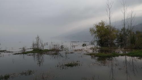 阳宗海湿地秋韵