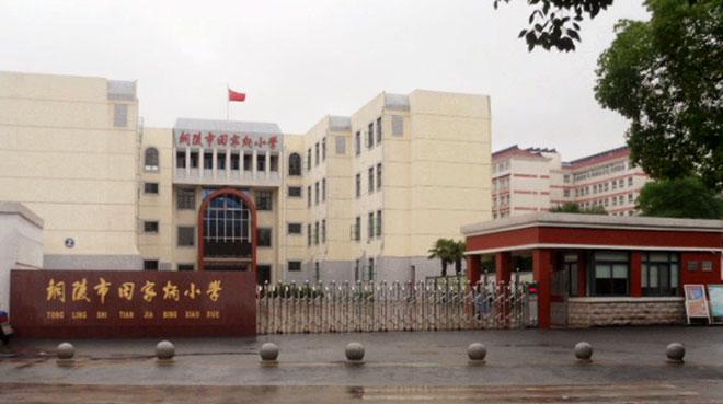 铜陵市田家炳小学网络学习空间