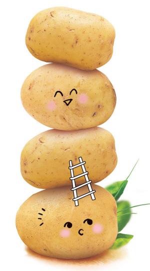 两年后,昆明开始生产土豆片.