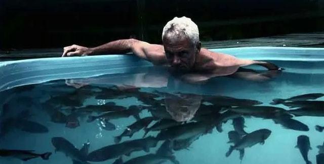 4人丧命巴拉圭食人鱼袭击人类不是说它们不会主动攻击人吗