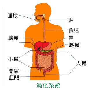消化内科常见病有哪些