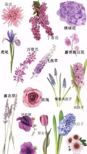 常见的6种婚礼流行色与花材