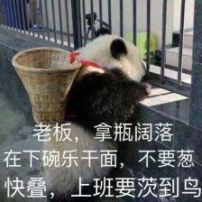 拿瓶可乐,在下碗热干面,不要葱,快点上班要迟到了可爱的熊猫背着个框