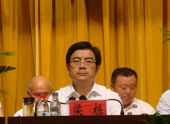 利辛县委书记梁栋履新阜阳副市长,官方曾称其一提拔就有举报