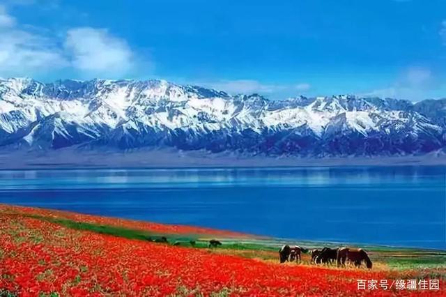 新疆克州彻底火了!再次登上央视《新闻直播间》