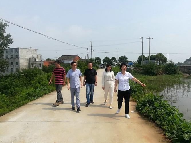 李传萍到徐桥,大石督察防汛和禁捕退捕工作_太湖县人民政府