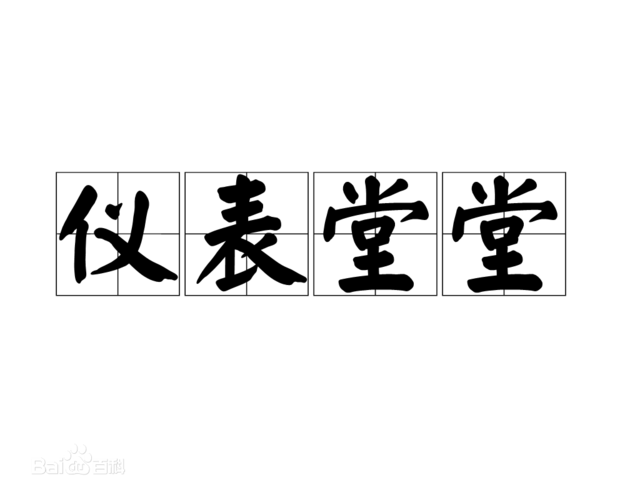 和"仪表堂堂"相似的词还有什么?