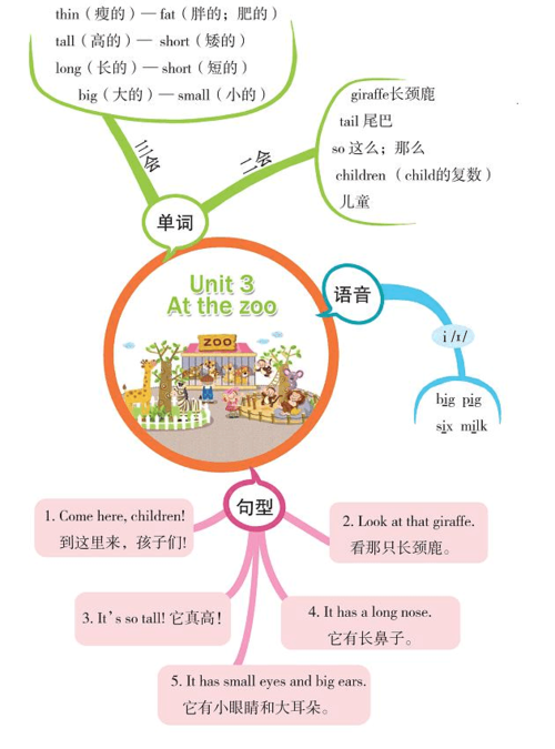 2020三年级英语下册unit3atthezoo思维导图人教pep版