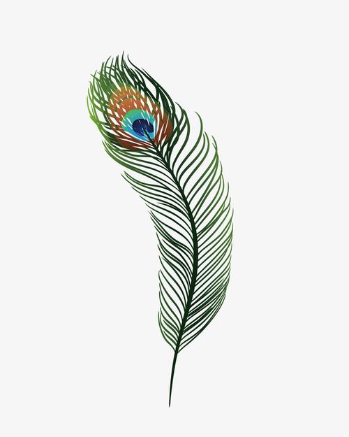 卡通手绘孔雀毛