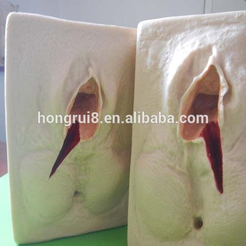 hot sales practice model for vulva suture,training model,vulva