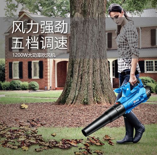 鼓风机吹风机电脑清灰吹风除尘器工业用吸尘器高压强力吸尘器吹风机ff